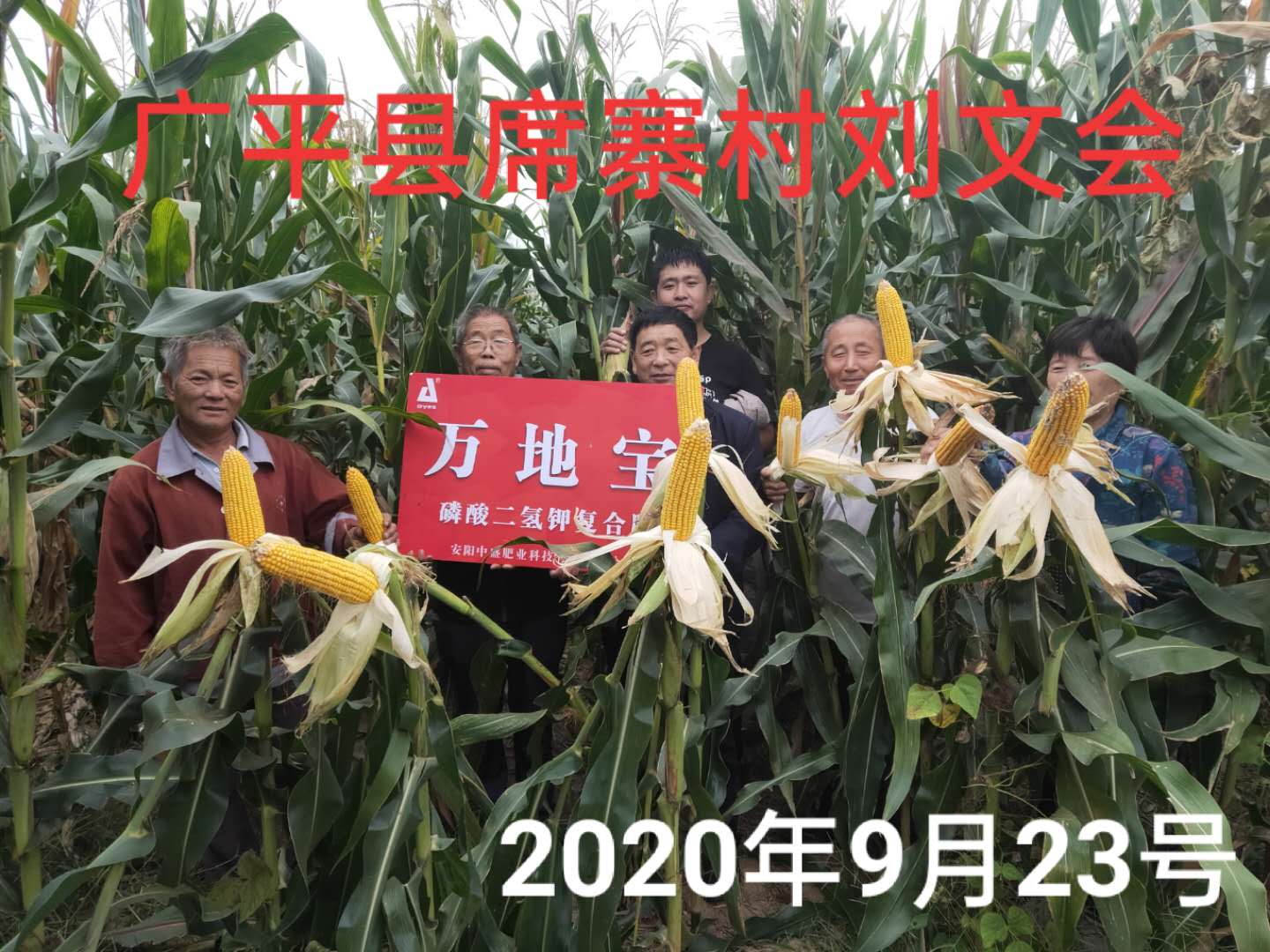 王大爺為什么主動(dòng)給劉經(jīng)理打電話說玉米復(fù)合肥的事？
